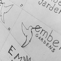 Pencil sketches for Ember Gardens logo